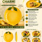 Ceramic serving plate with fruit design, product features, dimensions, and usage examples on a yellow background.